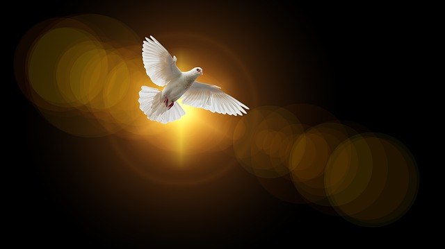Pastor Nelson Bonilla: 9-21-25 “Let Us Be Wise”  